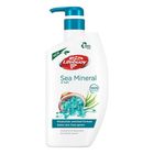 Lifebuoy Bodywash Sea Mineral & Salt 900ml