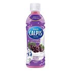 Calpis Cultured Milk Grape 350ml