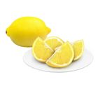 Fresh Produce Lemon 1 Piece