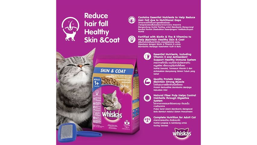 Whiskas Dry Skin & Coat 1.1kg