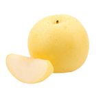 Sunnyphil Century Pear - 200867