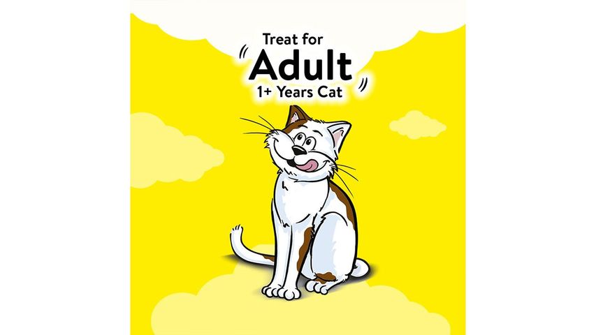 Temptations Creamy Purrree Salmon & Cheese 24g