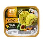Selecta Ice Cream Avocado Dream 1.3L