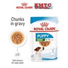 Royal Canin Mini Puppy Wet Food 85g