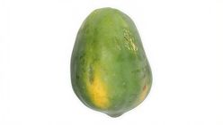 Sunnyphil Papaya Red Lady (301256) 1kg
