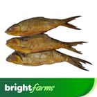 brightfarms Bangus Baby Deboned Smoked 500g (Frozen)