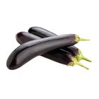 Selmor Lili Farm Products Eggplant Native (303511)