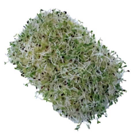 Dizon Farms Alfalfa Sprouts 50g