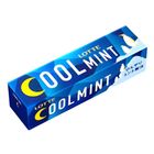 Lotte Cool Mint Gum 9 Pieces