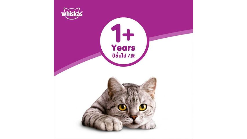 Whiskas Dry Mackerel 480g