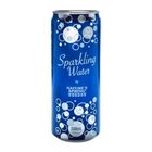 Nature's Spring Sparkling Water Plain 330ml