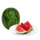 Dizon Farms Watermelon Fairy Red Seeded (Pakwan) 1.8kg-2kg