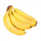 Slf Banana Lakatan - 202145