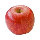Slf Fuji Apple No. 113 (301728)