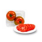 Dizon Farms Tomato Whopper 400g