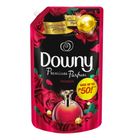 Downy Passion Refill 1.2L
