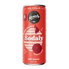 Remedy Sodaly Blood Orange 250ml
