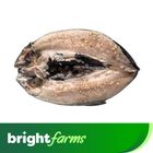 brightfarms Bangus Deboned Marinated 400g (Frozen)