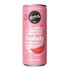 Remedy Sodaly Guava 250ml