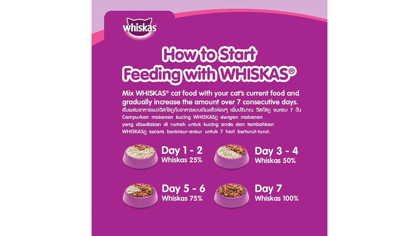 Whiskas Dry Skin & Coat 1.1kg