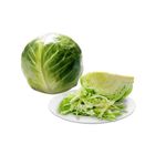 Dizon Farms Cabbage 1 Piece