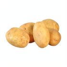 Slf Potato Regular - 303516