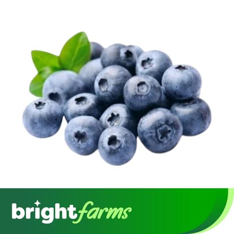 Frozen Blueberries 500G