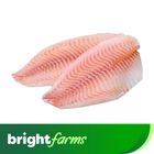 brightfarms Tilapia Fillet 500g (Frozen)