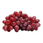 Sunnyphil Red Seedless Grapes (127945)