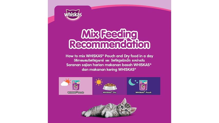 Whiskas JR Kitten Oceanfish with Milk 450g