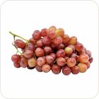 Sunnyphil Red Globes Grapes - 127594 0.5kg