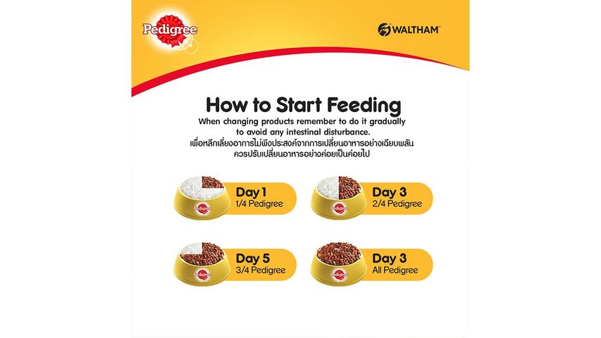 Pedigree Dry Beef & Vegetable 3kg