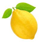Sunnyphil Lemon 1 Piece