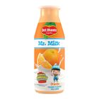 Mr. Milk Orange Yoghurt Flavored Milk Drink for Kids 80mL x6