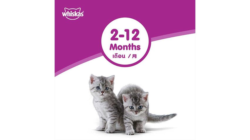 Whiskas JR Kitten Oceanfish with Milk 450g