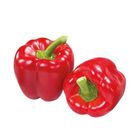 Tlf Farms Bell Pepper Red (198598)