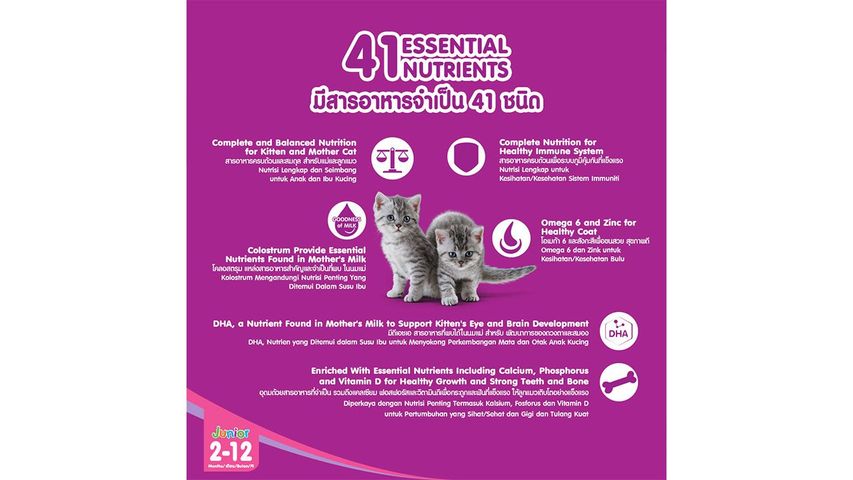 Whiskas JR Kitten Oceanfish with Milk 450g