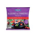 Emborg Blueberries & Strawberries (cs) Packets 20 x 400g
