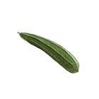 Dizon Farms Patola 1 Piece