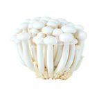 Sae Min White Shimeji Mushroom 150g