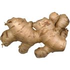 Selmor Lili Farm Products Ginger (303459)