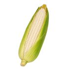 Dizon Farms Corn Lagkitan 250g