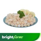 brightfarms Scallop Meat 300g (Frozen)