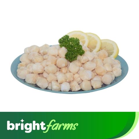 brightfarms Scallop Meat 300g (Frozen)