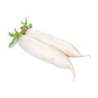 Fresh Produce Radish White 500g