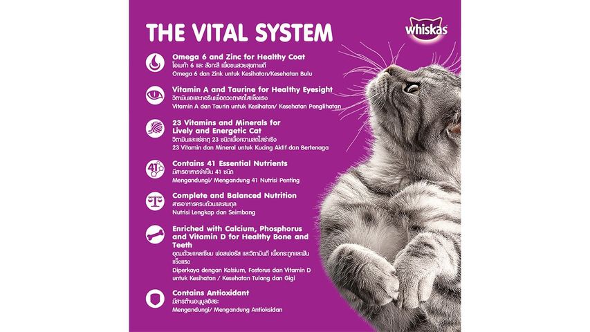 Whiskas Dry Mackerel 480g