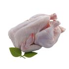 San Miguel Foods Inc. Robinsons Whole Chicken Approx 1.5kg