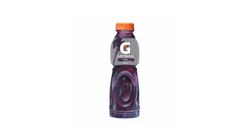 Gatorade Sports Drink Grape 500mL