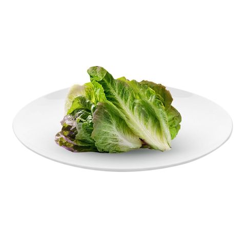Dizon Farms Lovely Lettuce Medley 100g