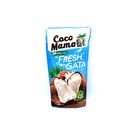 Coco Mama Fresh Gata 200ml
